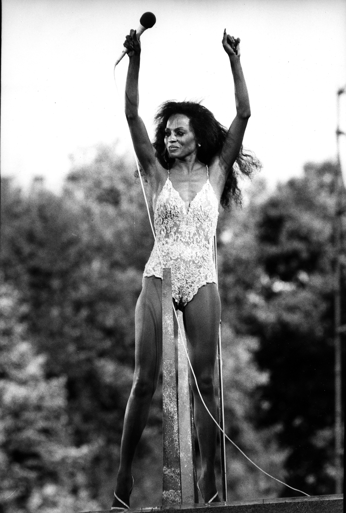 Diana Ross 5926_03 18 PURCHASE PRINT.
